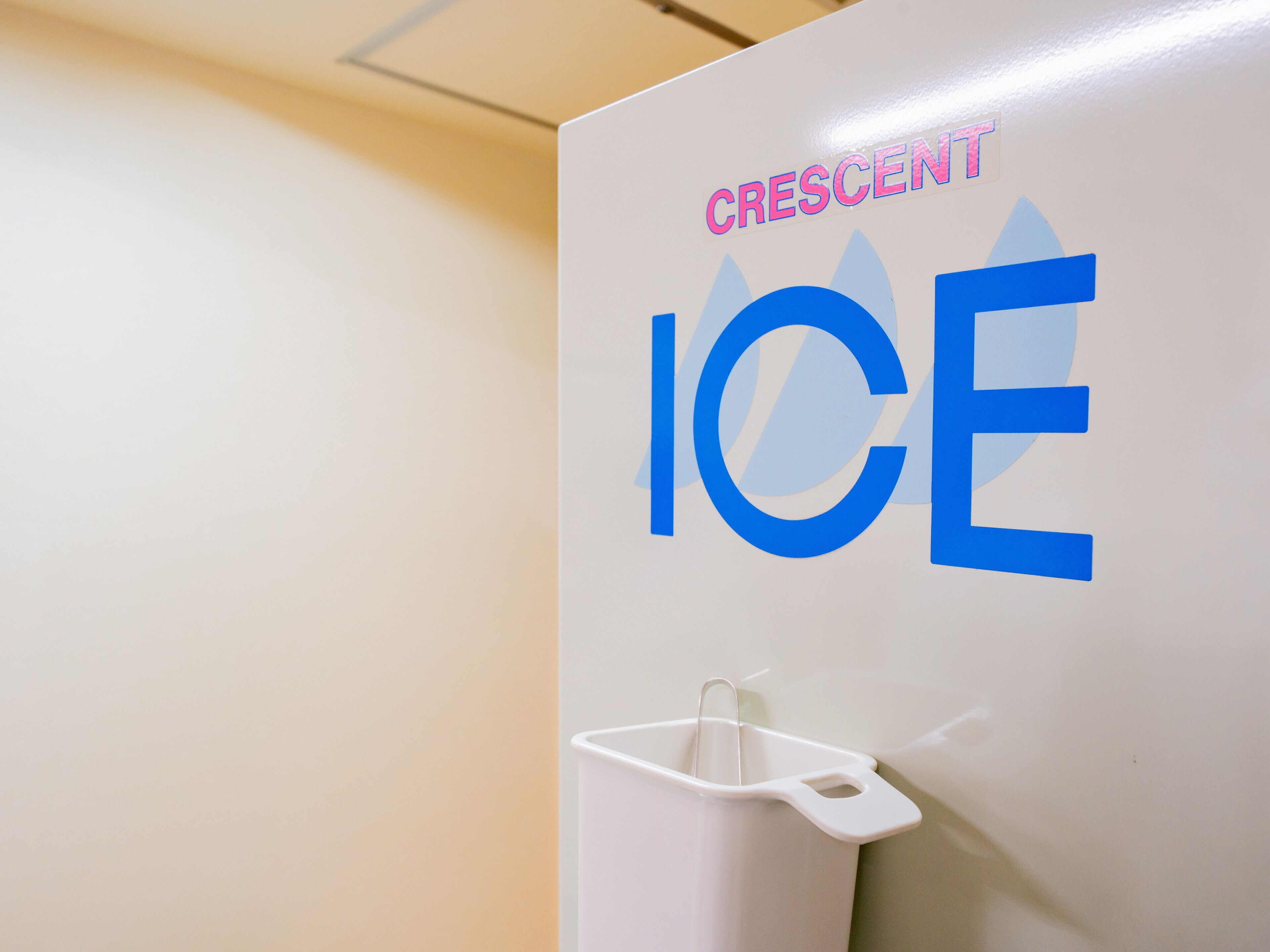 Eine Wand mit der Aufschrift "CRESCENT ICE" und einem Mülleimer.