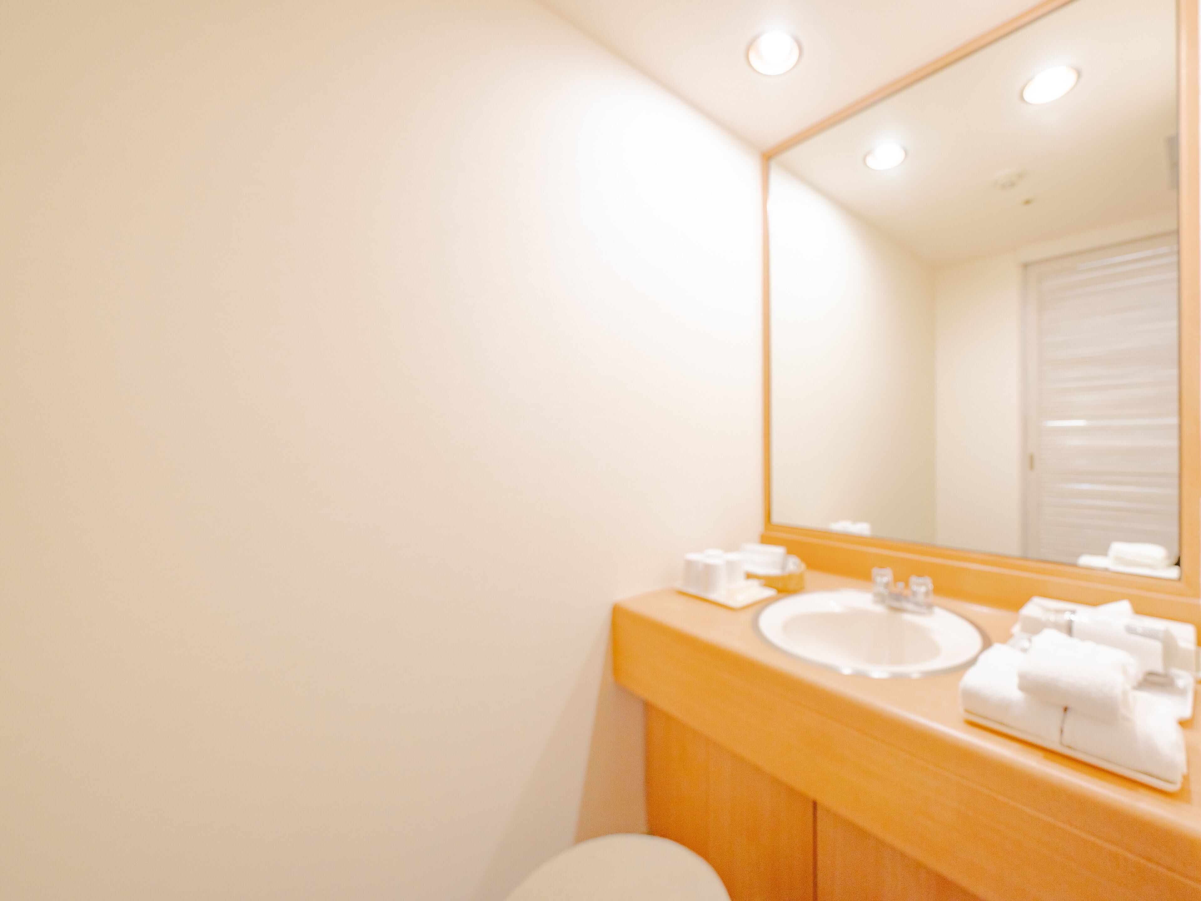 Un bagno con lavandino, specchio e WC.