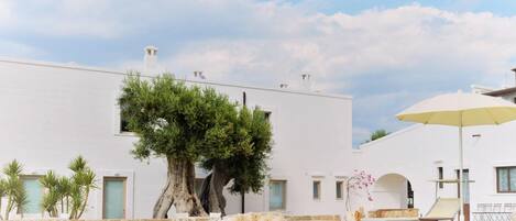 Un área de piscina con un edificio blanco, un árbol grande y una silla de lounge con sombrilla.