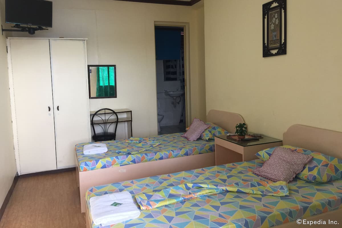 Habitación estándar con 2 camas individuales | Caja de seguridad en la habitación, escritorio y camas extra