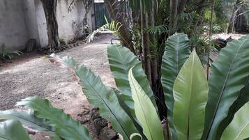 Habitació estàndard, vistes al jardí (With Fan) | Terrassa o pati