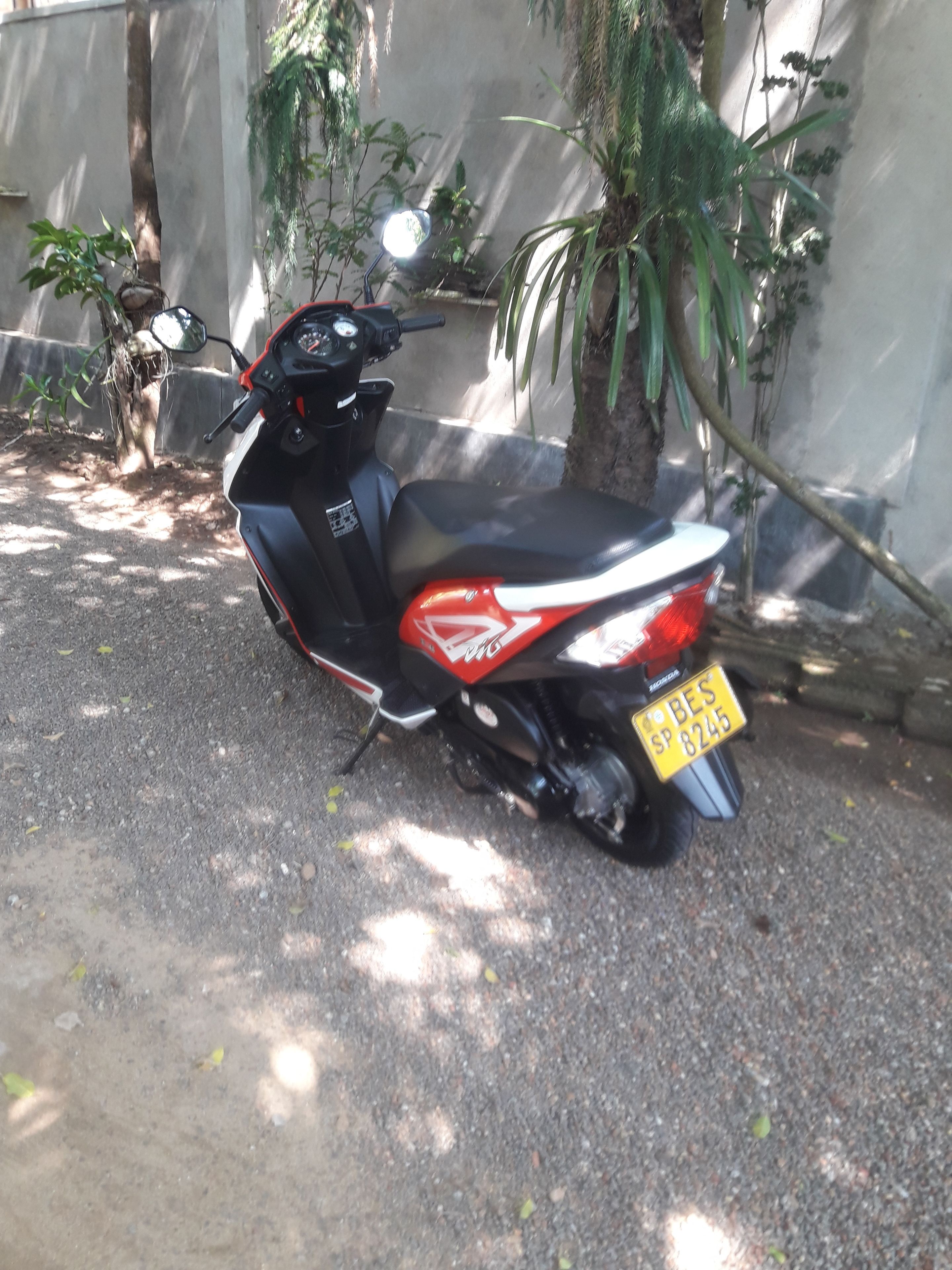 A parked scooter with a visible license plate.