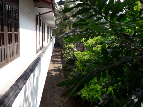 Un sendero estrecho bordeado por exuberante vegetación y un edificio blanco con grandes ventanales.