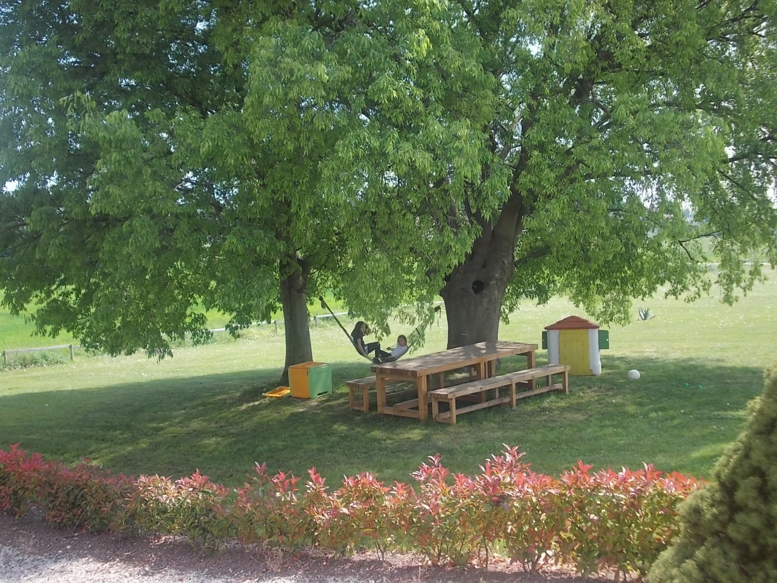 Foto - Agriturismo Bosco Del Gal