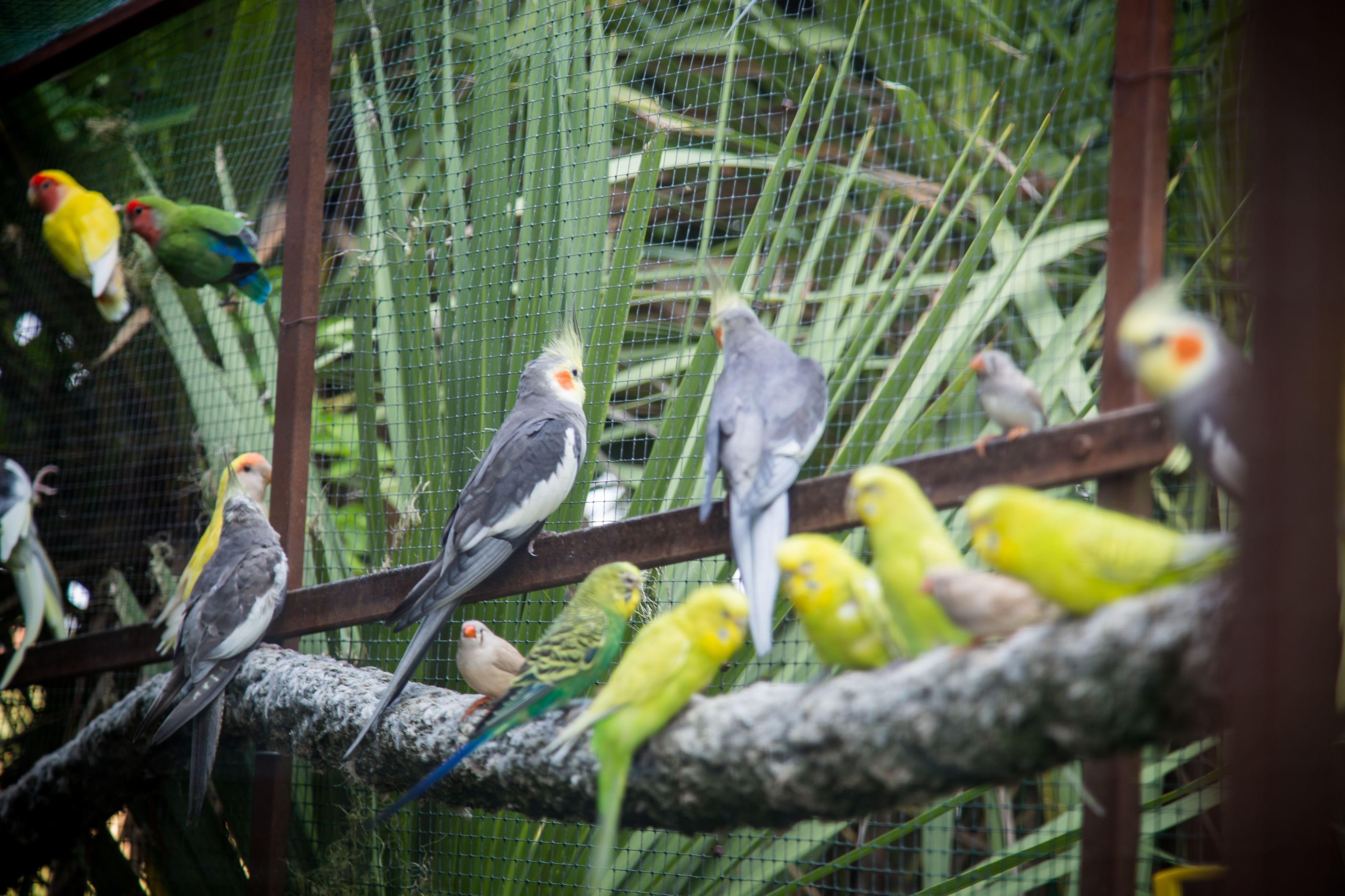 Foto - Agriturismo Bosco Del Gal