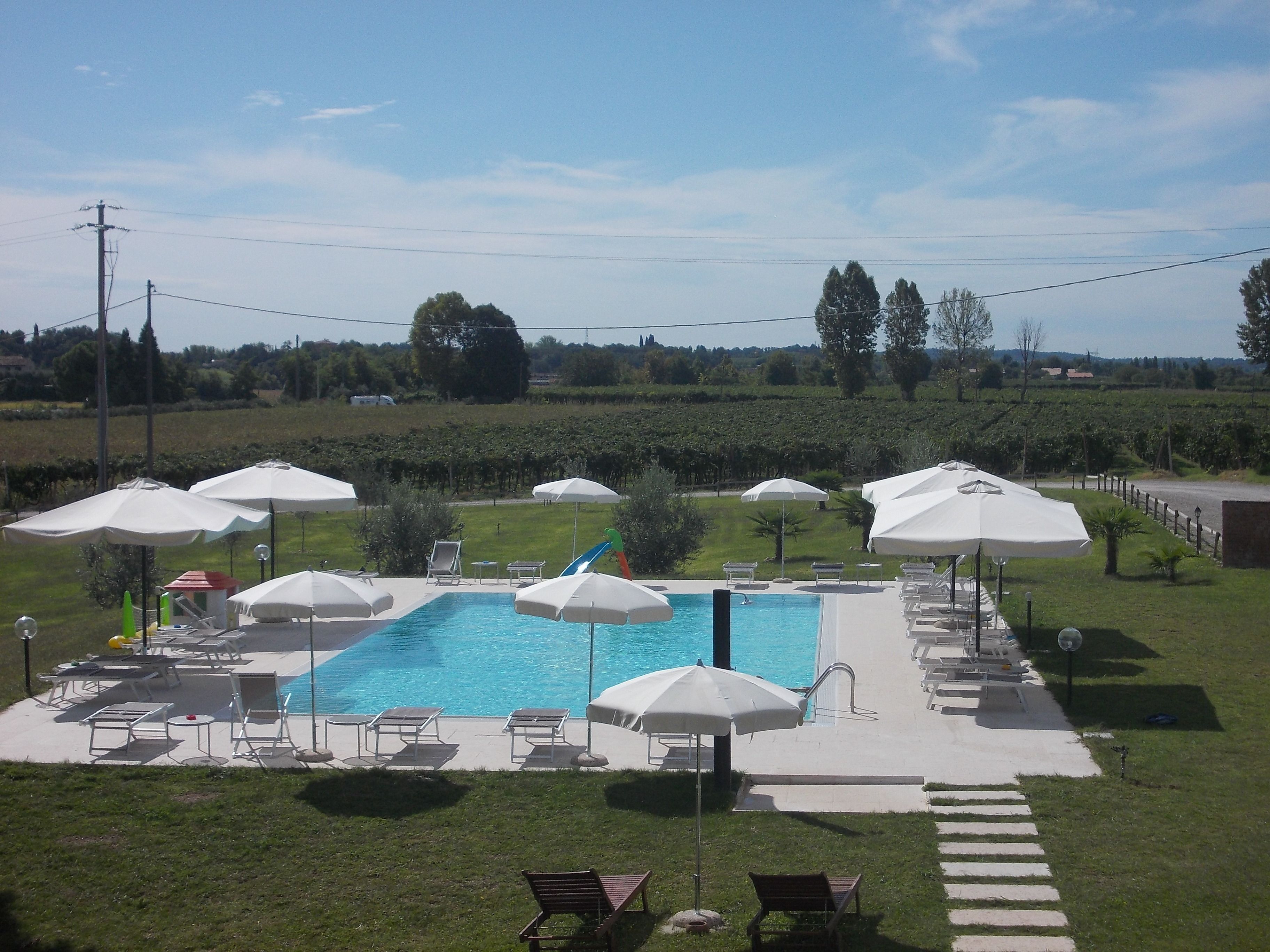 A swimming pool with lounge chairs and umbrellas, surrounded by a grassy area and vineyards in the background.