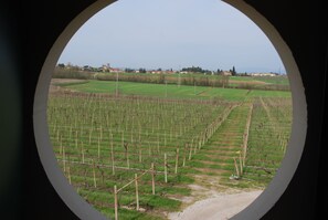 View from property - Agriturismo Bosco del Gal (Castelnuovo del Garda)