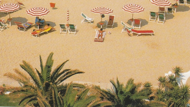 Uma praia com fileiras de espreguiçadeiras e guarda-sóis, uma torre de salva-vidas e palmeiras.