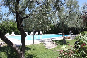 A swimming pool surrounded by olive trees and lounge chairs. - Masseria Don Sante (Fasano)