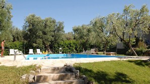 Une piscine avec des marches descendantes, entourée d’arbres et bordée d’une pelouse.