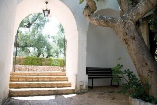 Property grounds - Masseria Don Sante (Fasano)