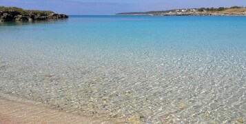 Vista desde la propiedad