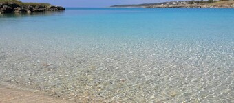 อิลจาร์ดิโน เดลเล ยาคารันดา