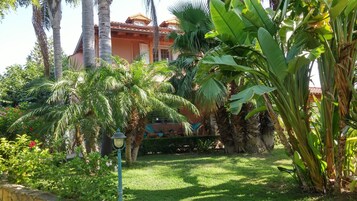 Jardín