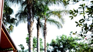 Tempat makan luar