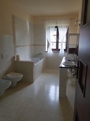 Deluxe Apartment, 1 Bedroom, Kitchenette | Bathroom | Shower, hair dryer