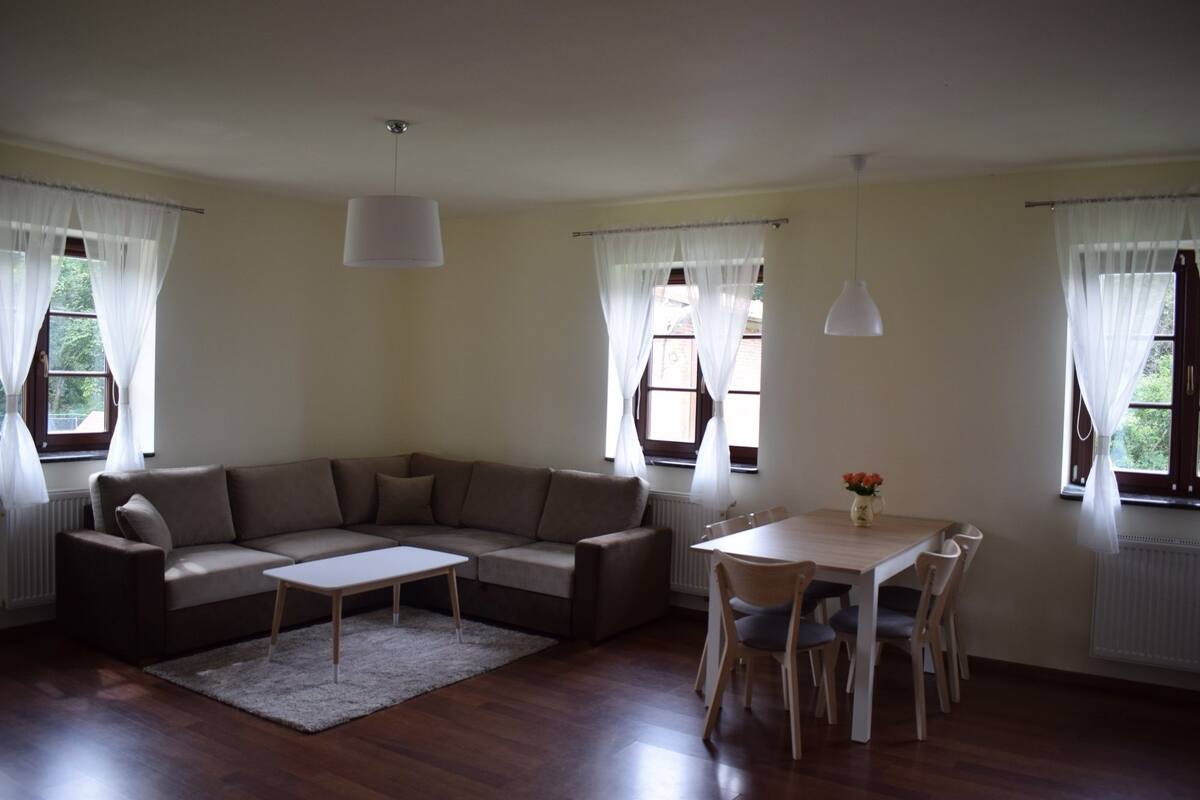 Deluxe Apartment, 1 Bedroom, Kitchenette