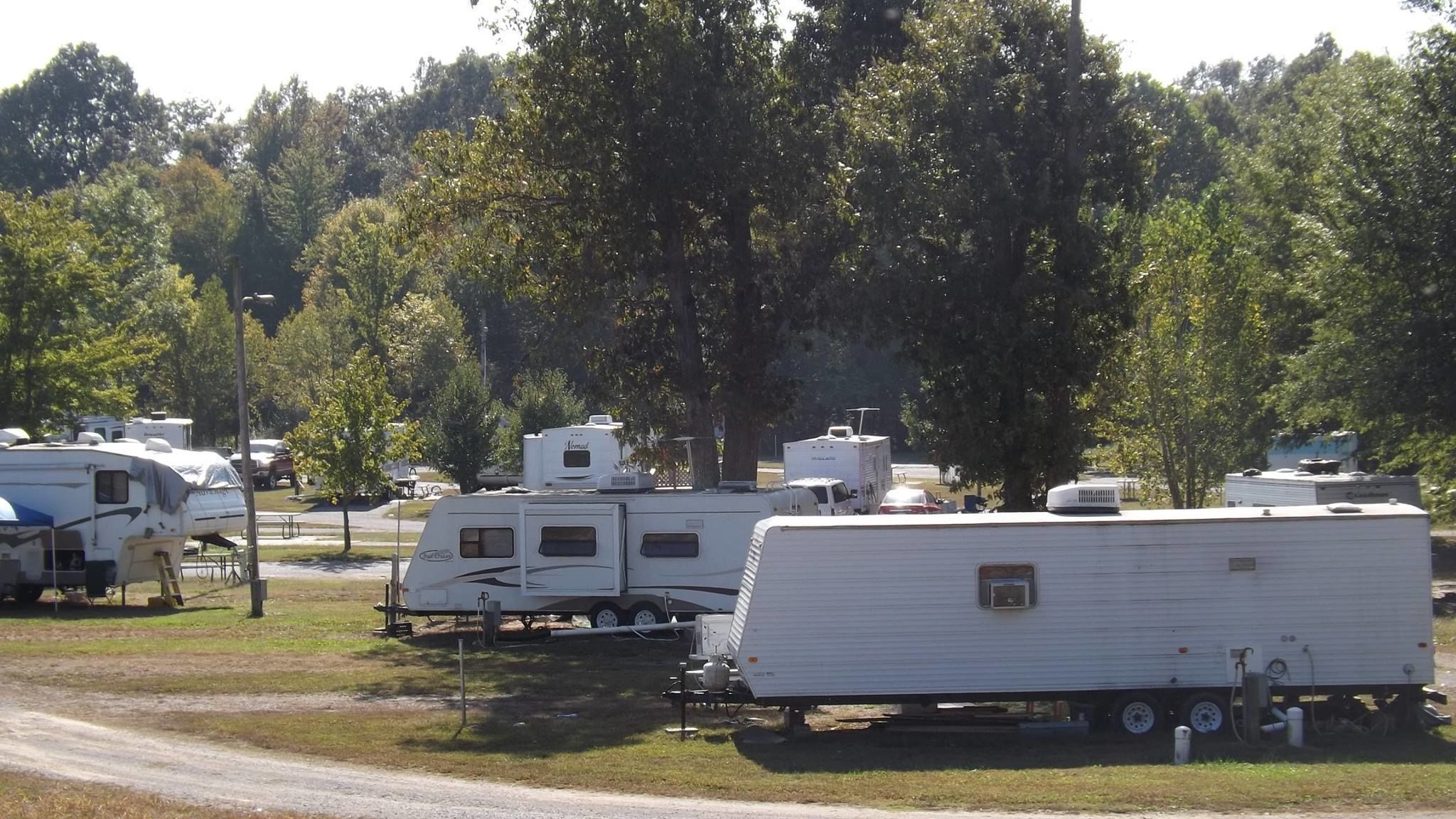 A row of RVs parked in a lot with trees in the background.