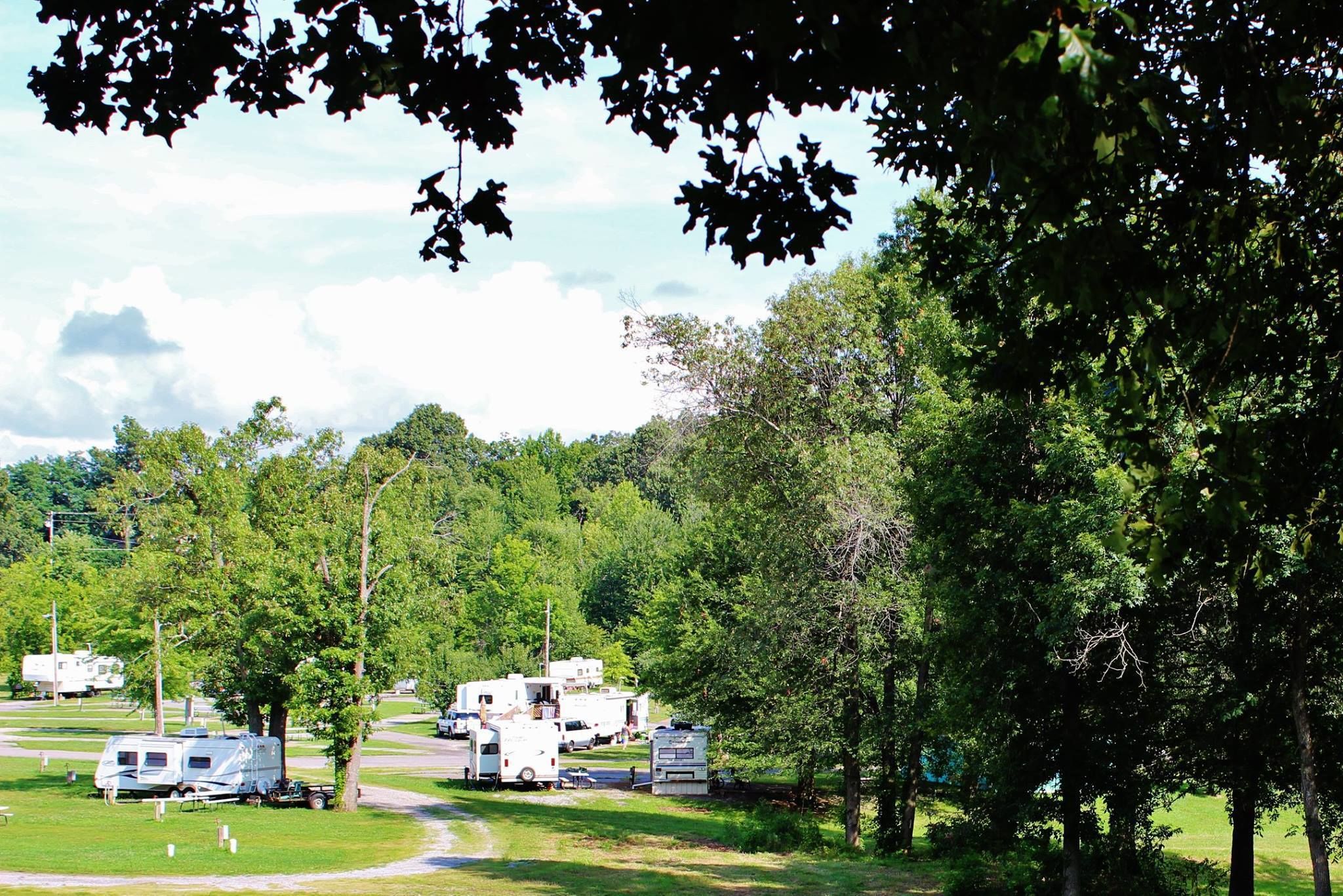 Un campeggio con camper e roulotte parcheggiate su una zona erbosa, circondato da alberi.