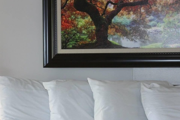 Traditional Room, 1 King Bed, Jetted Tub | Desk, WiFi (free), bed sheets