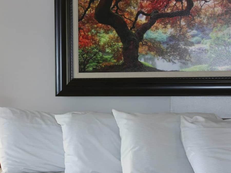 Tradisjonelt rom, 1 kingsize-seng, massasjebadekar | Skrivebord, wi-fi (inkludert) og sengetøy