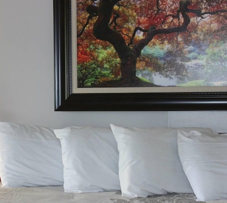 Escritorio, wifi gratis y ropa de cama
