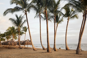On the beach, white sand, sun loungers, beach umbrellas