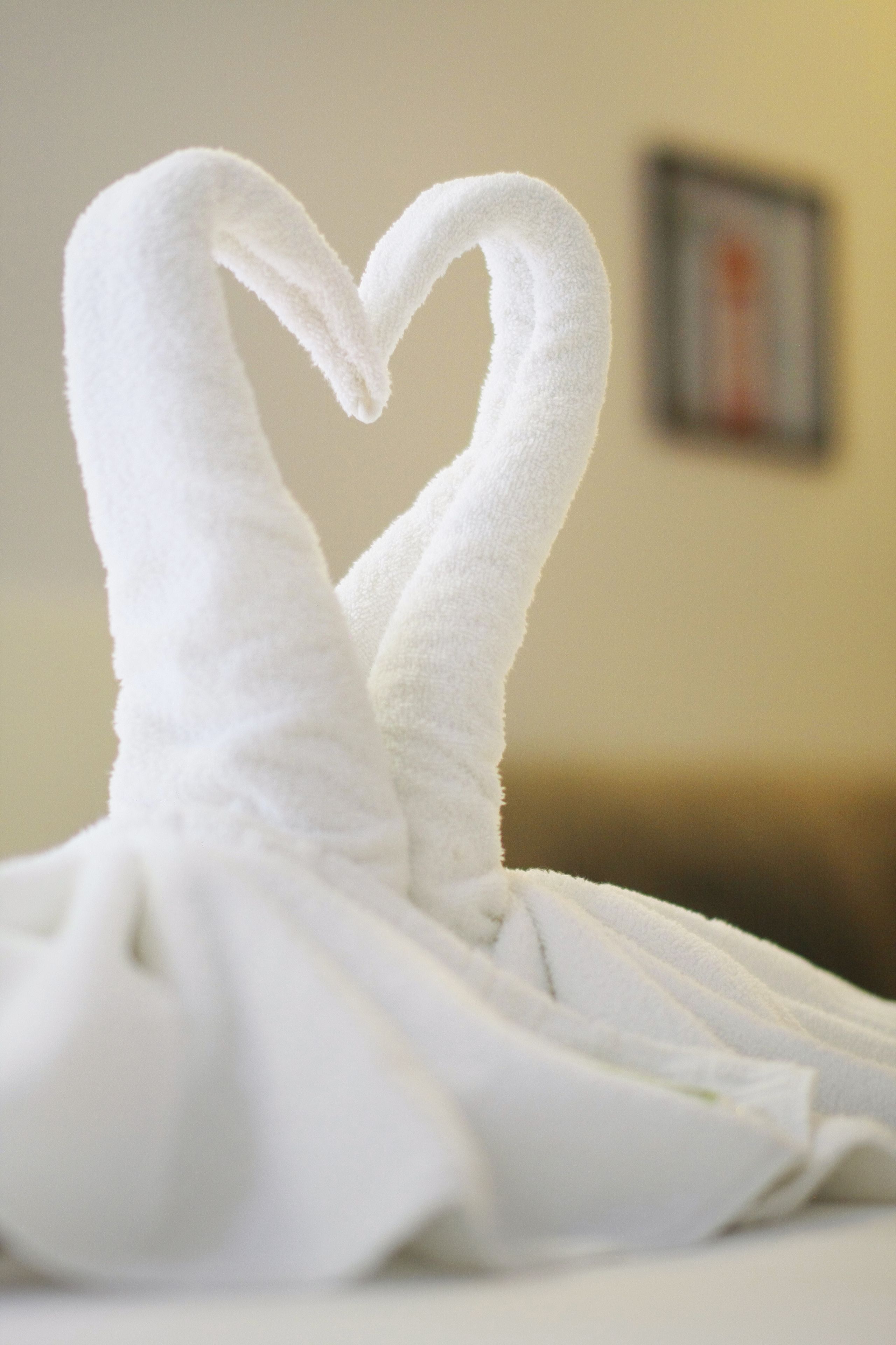 Foto - Iguassu Flats Hotel