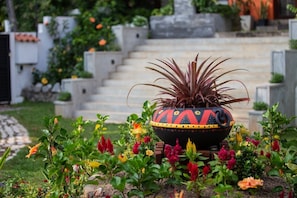 Una planta en maceta con follaje rojo en una maceta decorativa, rodeada de flores coloridas en un jardín.