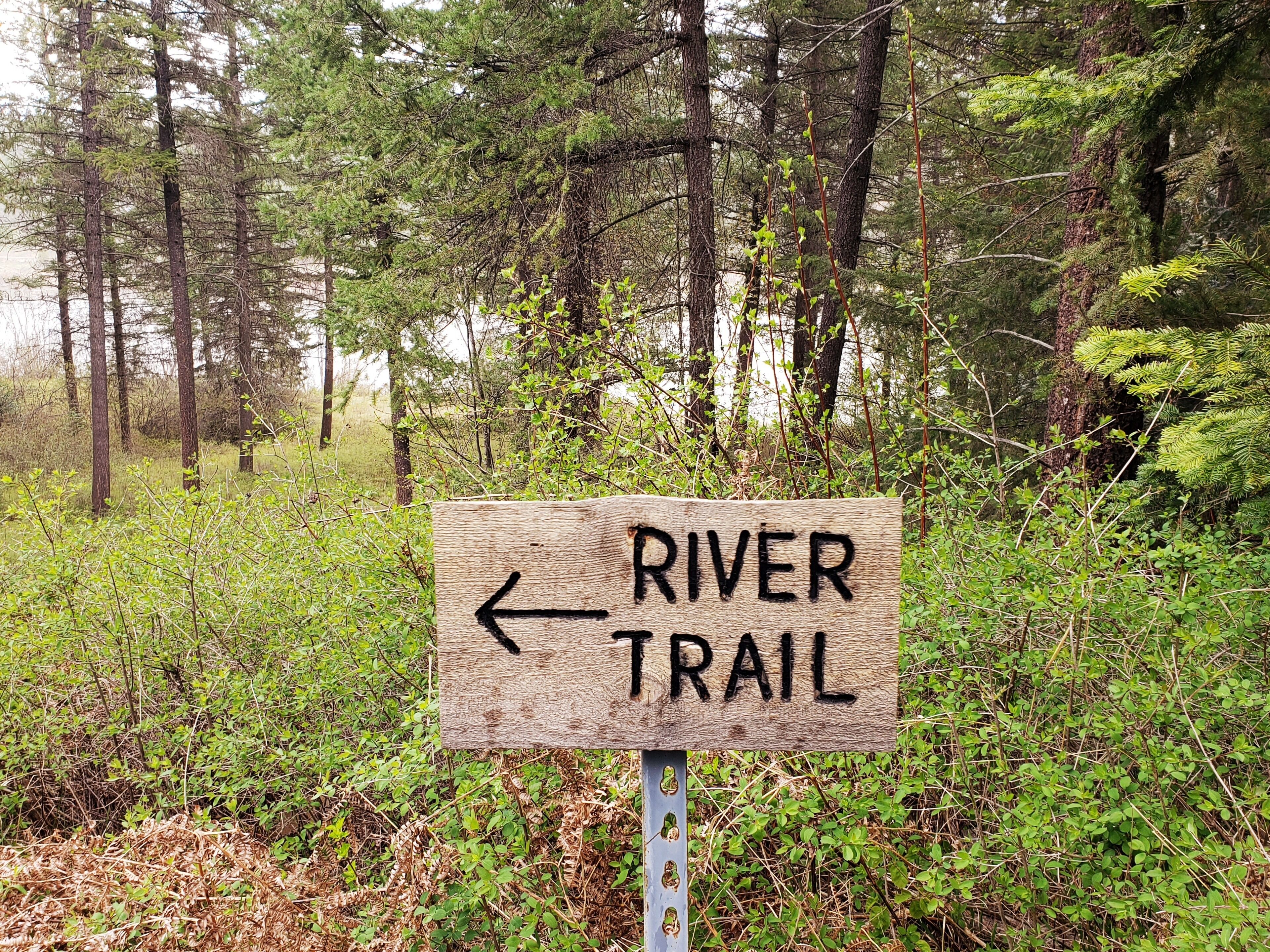 Un letrero de madera que dice "RIVER TRAIL" y una flecha apuntando a la izquierda.