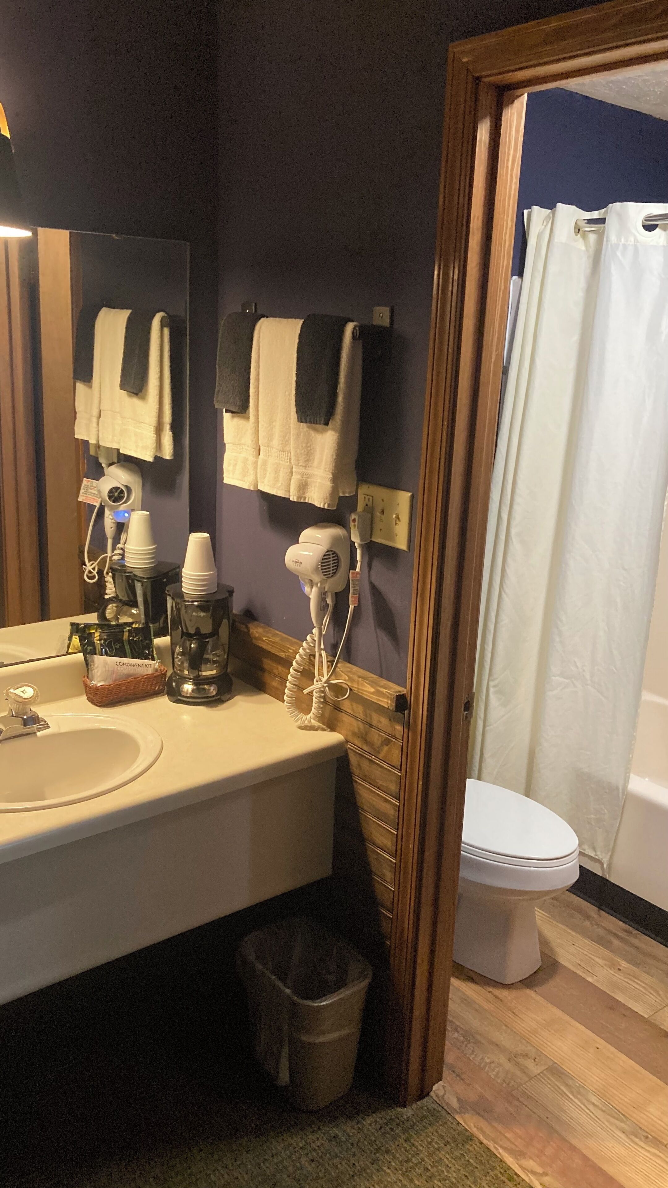 Une salle de bain équipée d’un lavabo, d’un miroir, d’un sèche-cheveux et d’un rideau de douche.