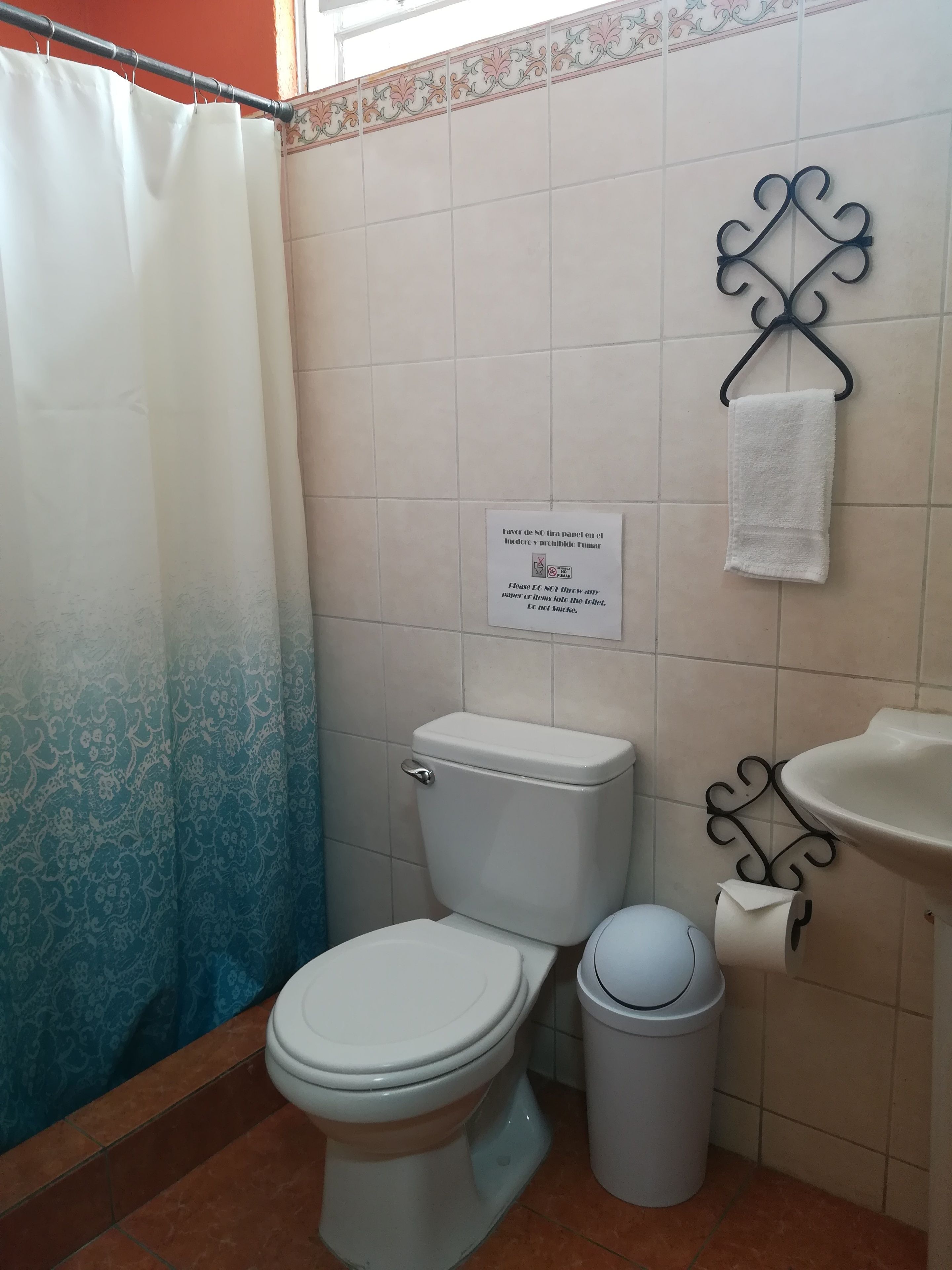 A bathroom with a toilet, a trash bin, a sink, and a shower curtain.