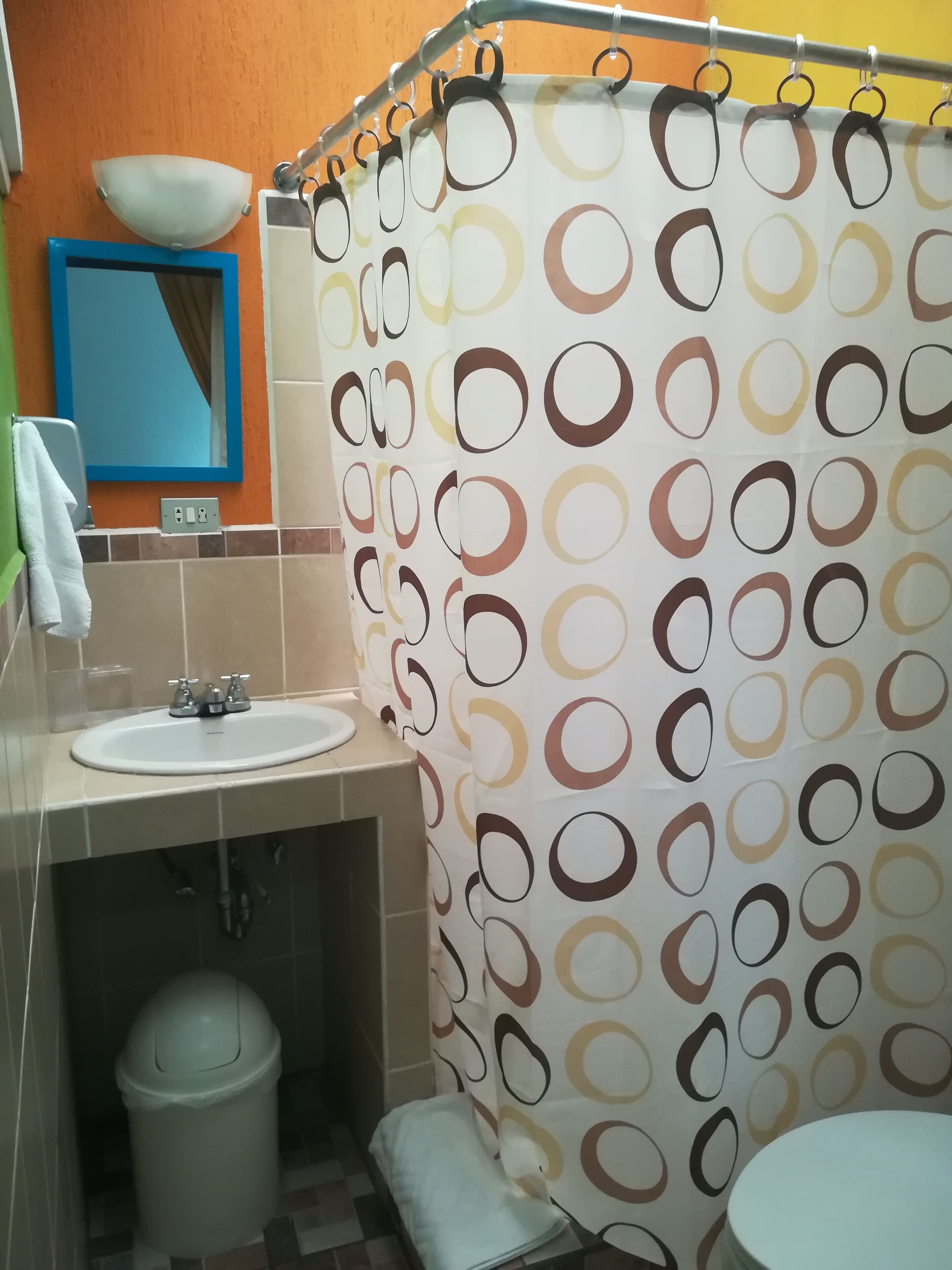 A bathroom with a sink, mirror, and shower curtain.
