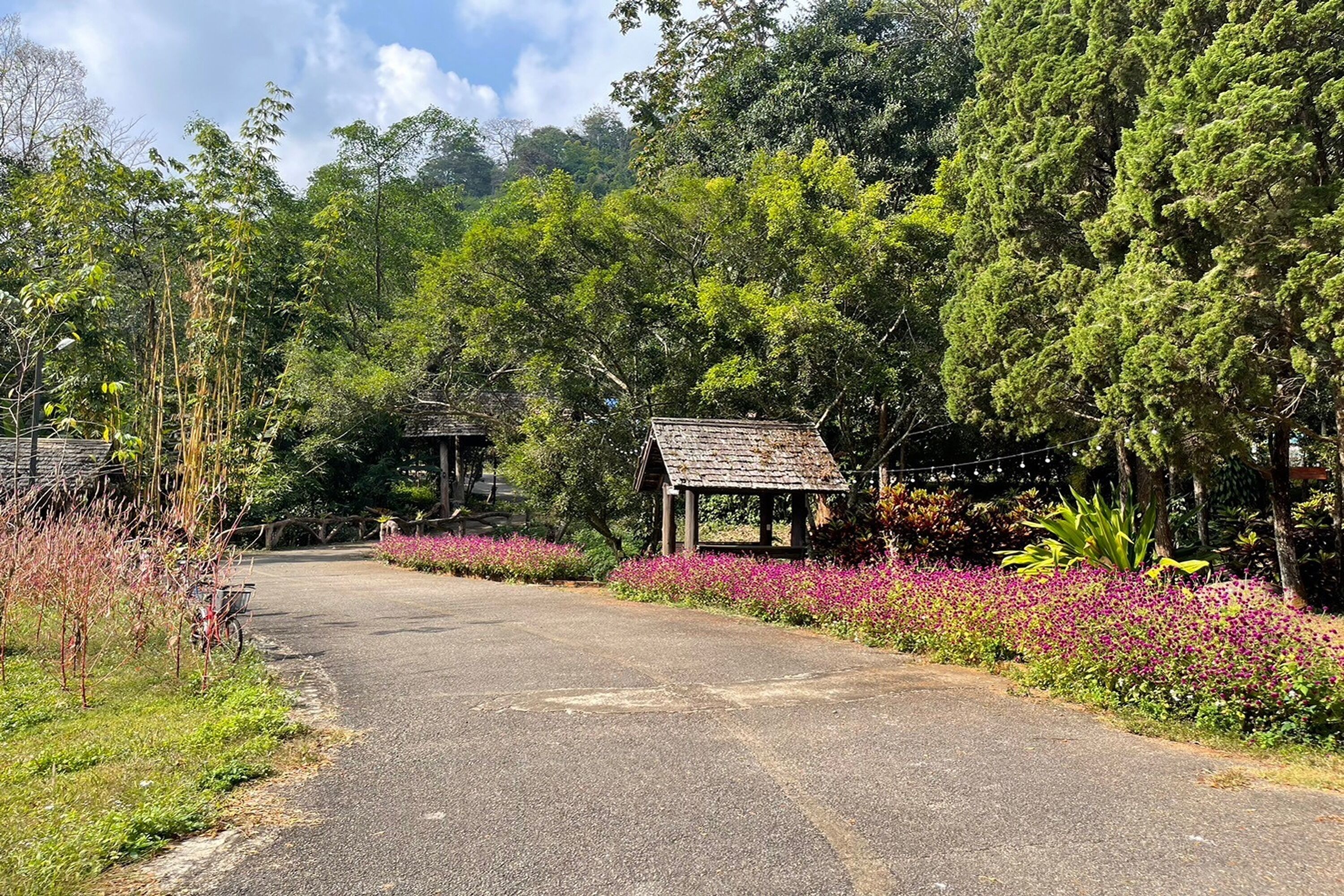 A paved pathway leading to a gazebo surrounded by lush greenery and flowering plants.