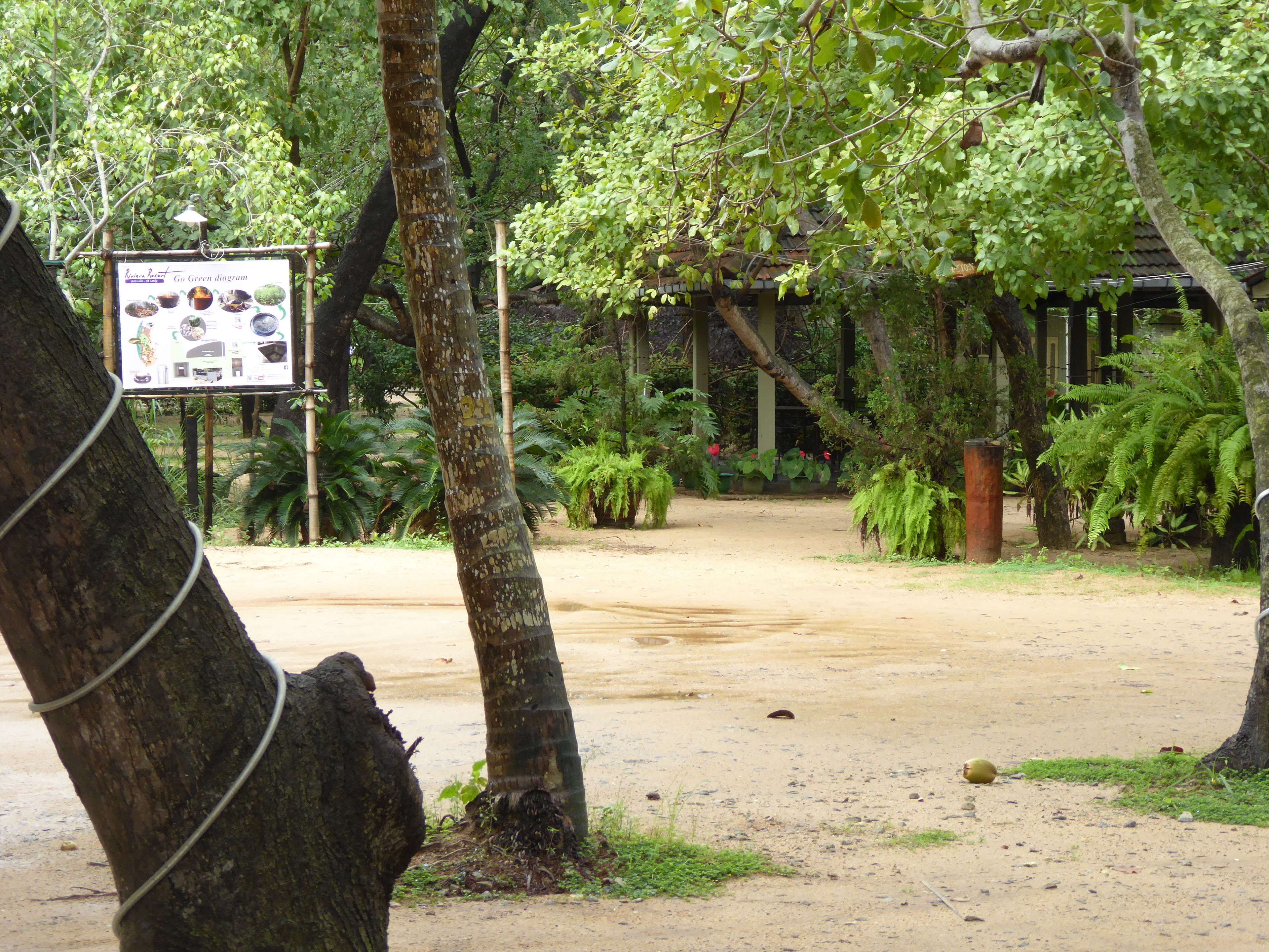 A dirt path leading through a lush, green area with trees and ferns. A signboard is visible in the background.