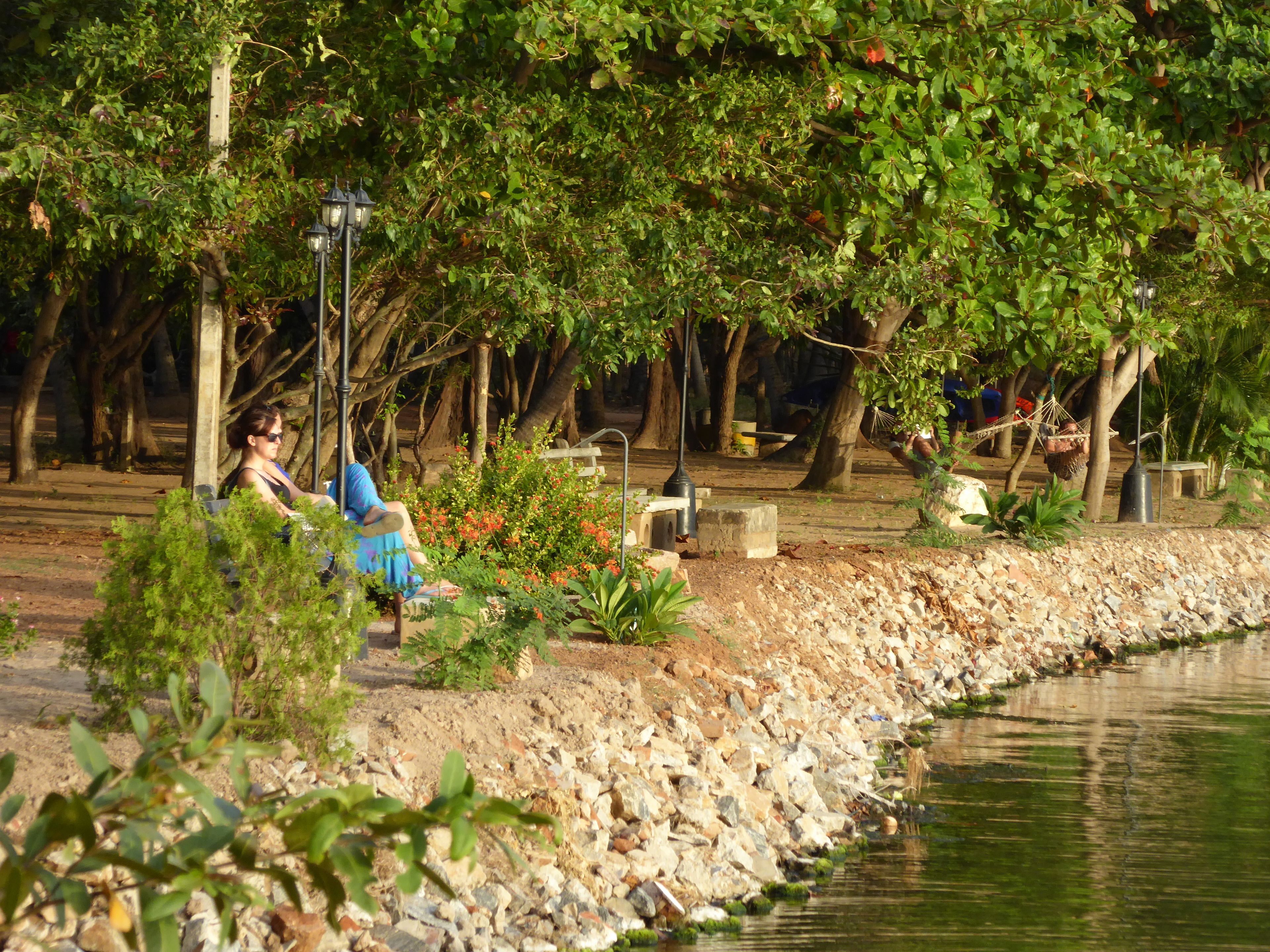 A park with a stone pathway, trees, and a body of water.