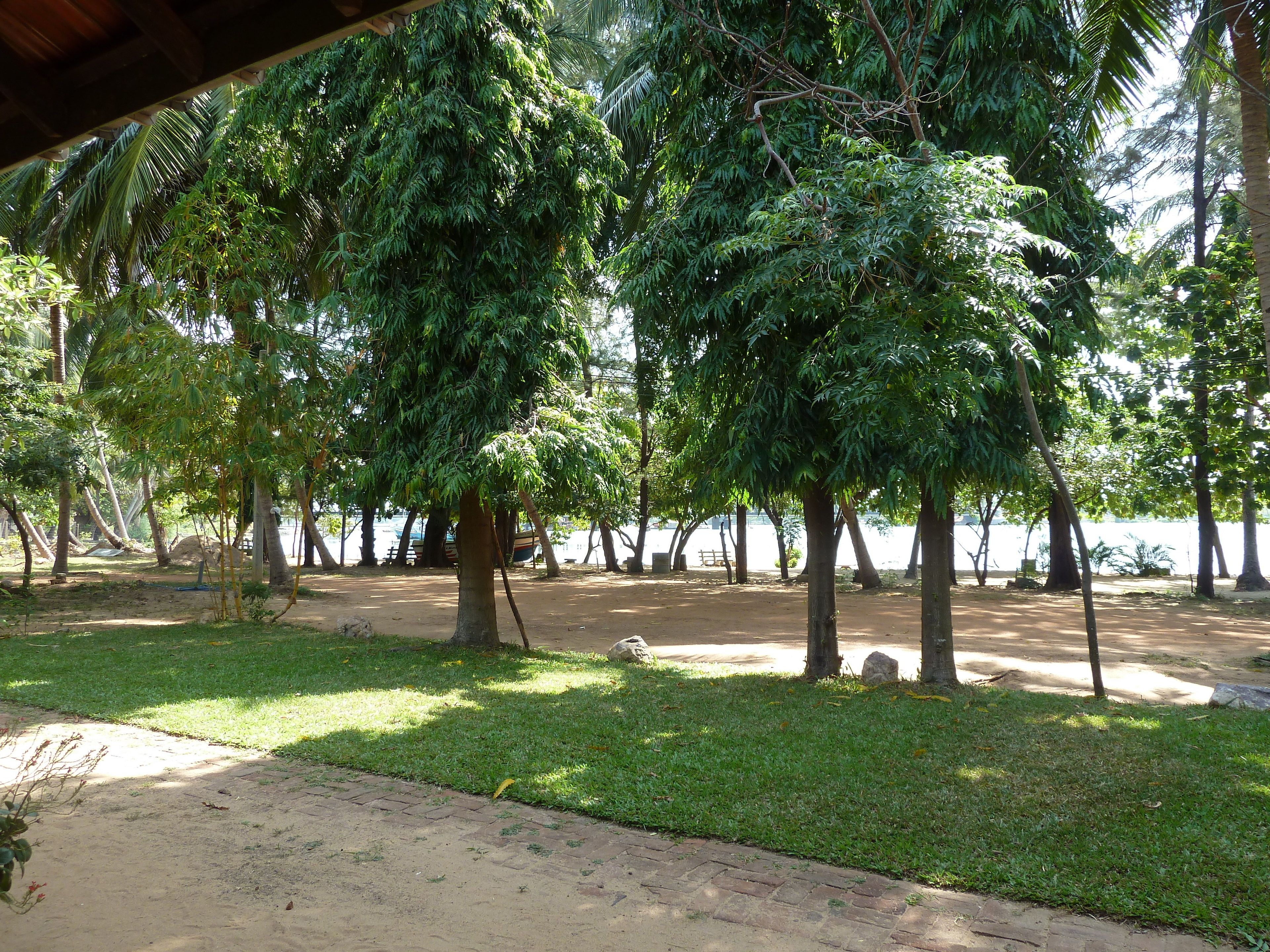 standard double room | terrace/patio