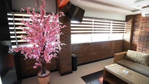 A living room with a brick wall, a sofa, a TV, and a cherry blossom tree. - Amaliun Hotel (Medan)