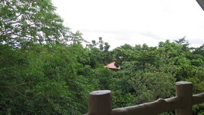 A lush green forest with a red-roofed building in the background.