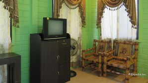 A room with green walls, a television on a cabinet, a fan, and two wooden chairs.