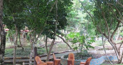 Alexis Cliff Dive Resort