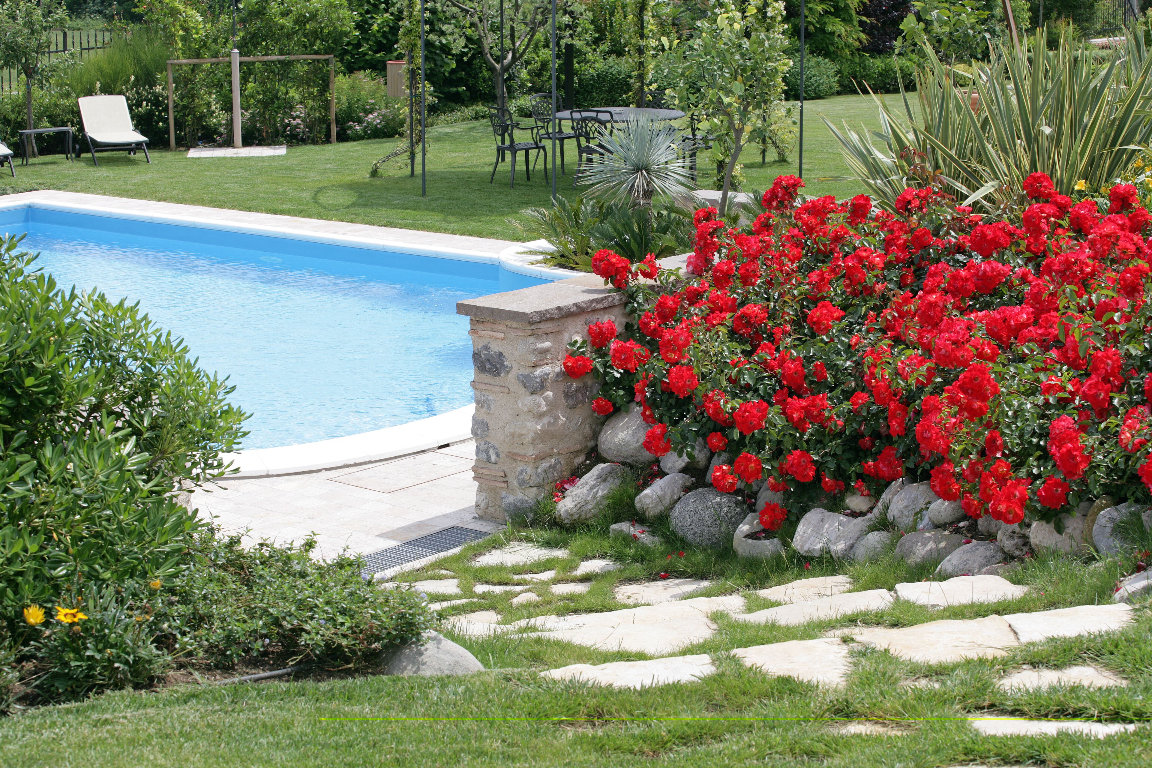 Seasonal outdoor pool, pool umbrellas, sun loungers