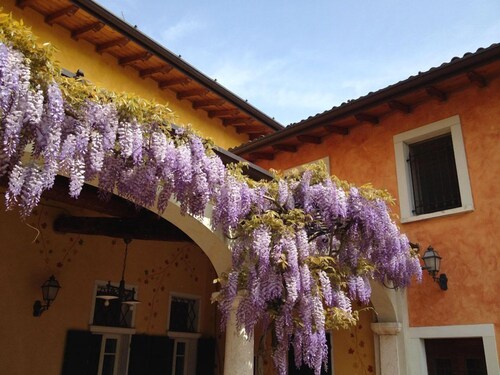 Agriturismo Macesina