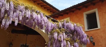 Agriturismo Macesina