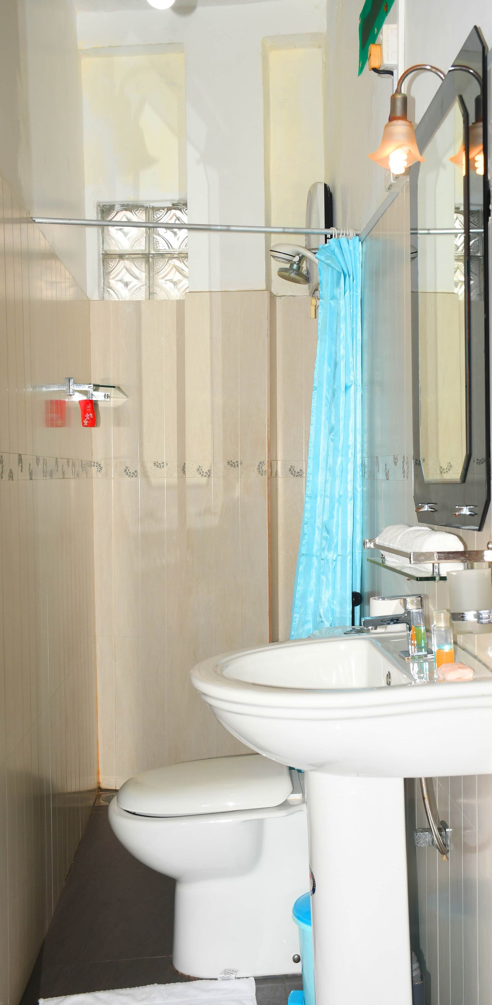 A bathroom with a white toilet, a glass shower enclosure, a sink with a mirror, and a blue shower curtain.