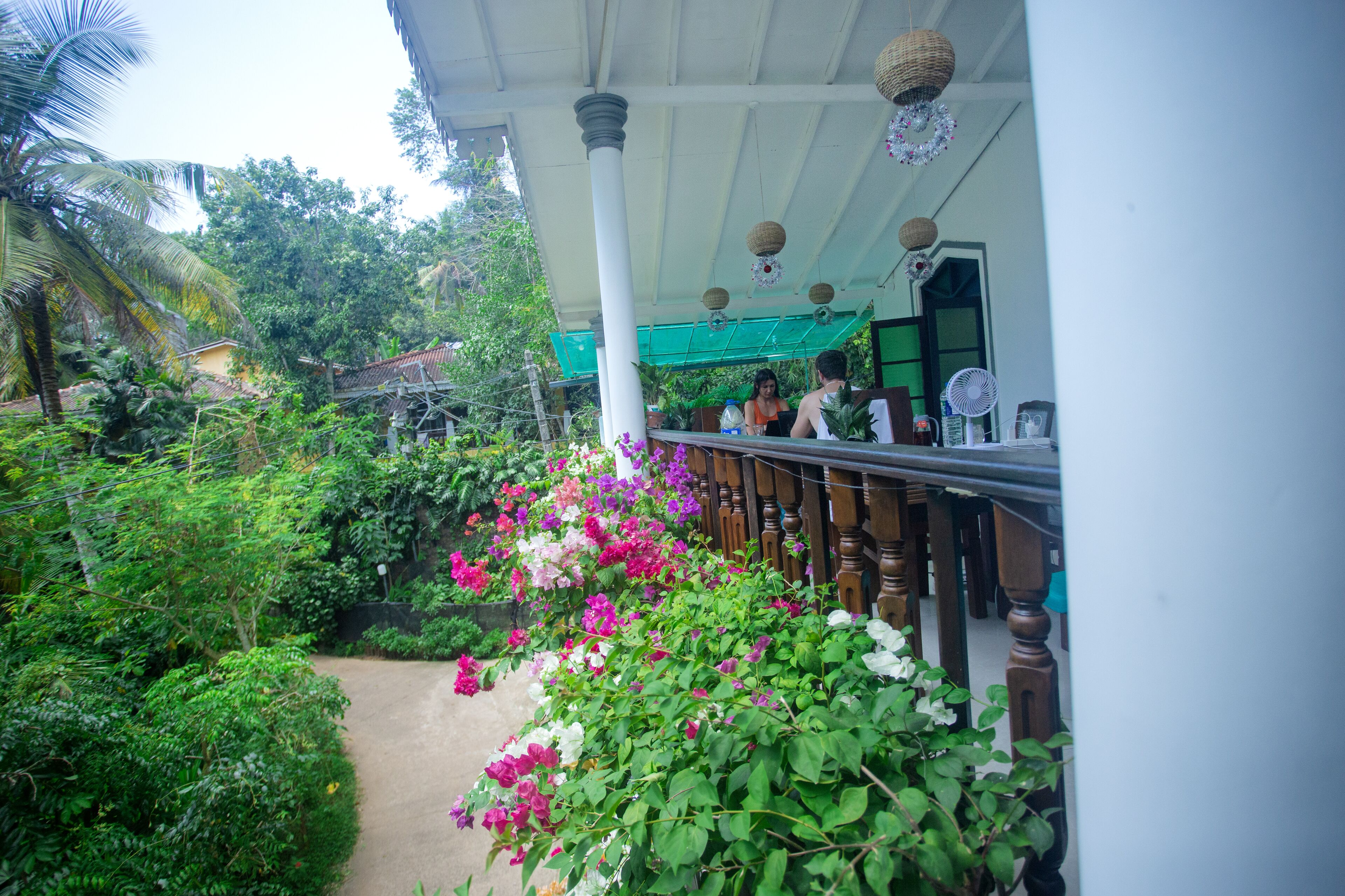 A covered outdoor area with a pathway, lush greenery, and a wooden railing.