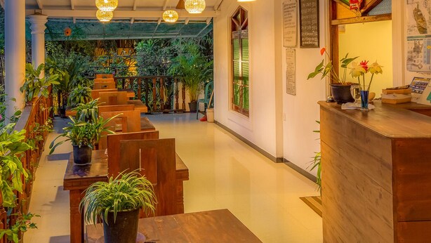 A hotel lobby with wooden furniture, hanging spherical lights, and potted plants. - La Villa Guest House (Unawatuna)