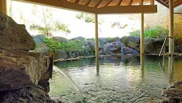 Indoor pool, a natural pool