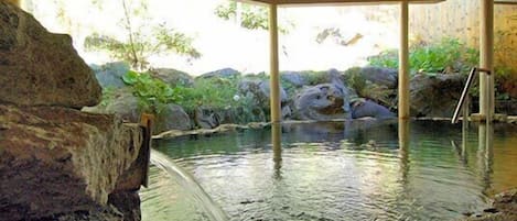 Indoor pool, a natural pool