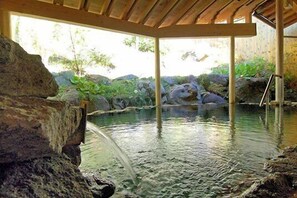 Piscine couverte, piscine naturelle